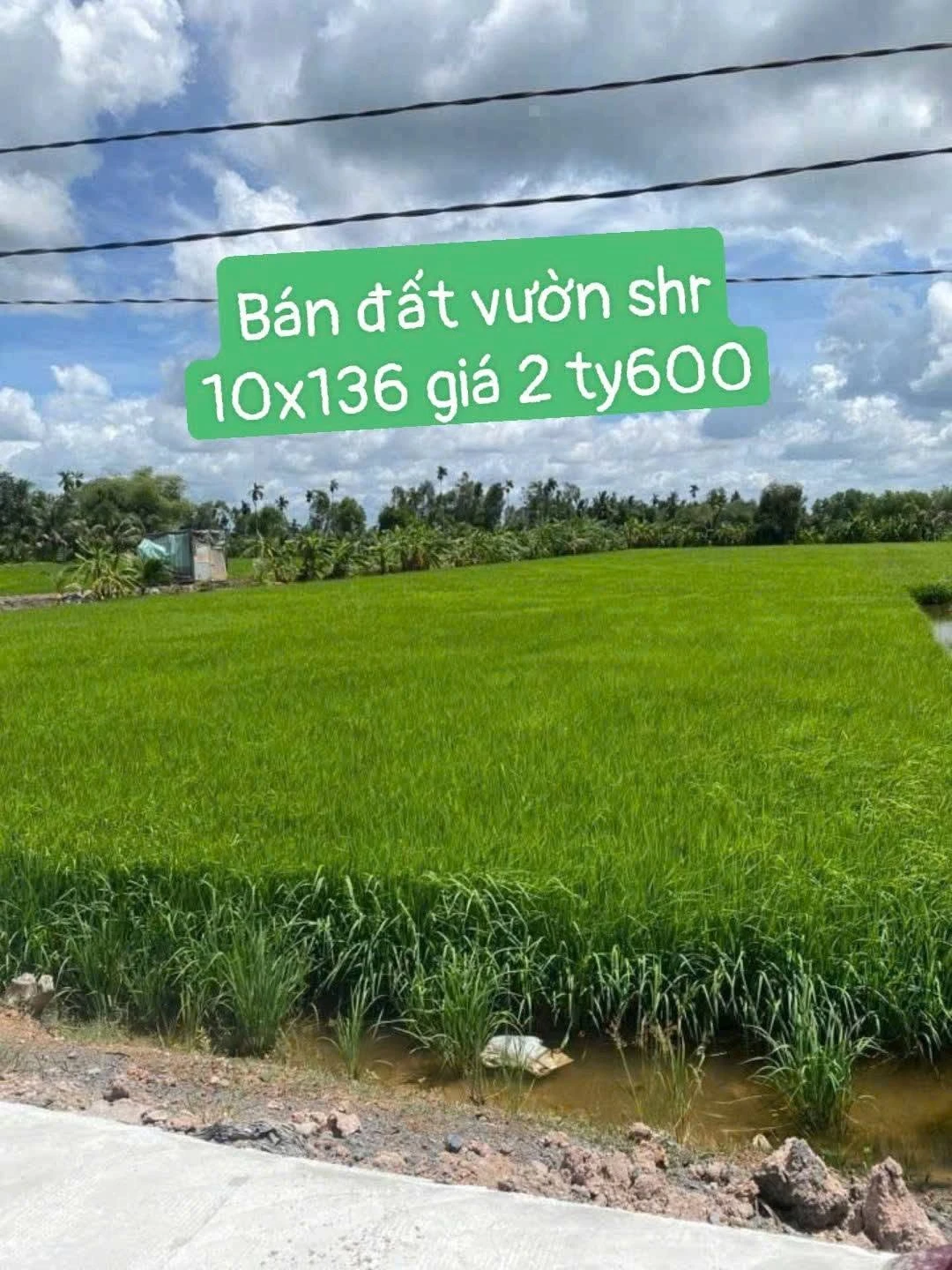 Bán đất vườn Thị Trấn Đức Hoà 1360m², giá 2.599 tỷ - Ảnh 1
