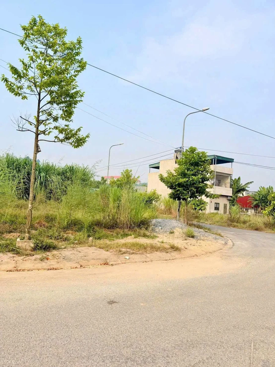 Bán lô đất 10x19m Đường 22/12, 1 tỷ 1 - Ảnh thu nhỏ 2