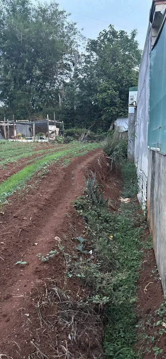 Bán đất 2 mặt tiền 6x26m đường Ngô Chí Quốc, Tân Hòa, Buôn Ma Thuột giá 2,85 tỷ - Ảnh thu nhỏ 3