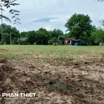 Bán đất sào Thuận Hòa 2542 m² với nhà cấp 4, Lâm Đồng - Ảnh thu nhỏ 4