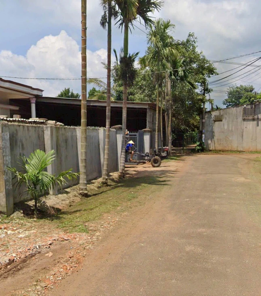 Bán đất 150m² đường D1 gần QL26, Tân An - Ảnh thu nhỏ 3