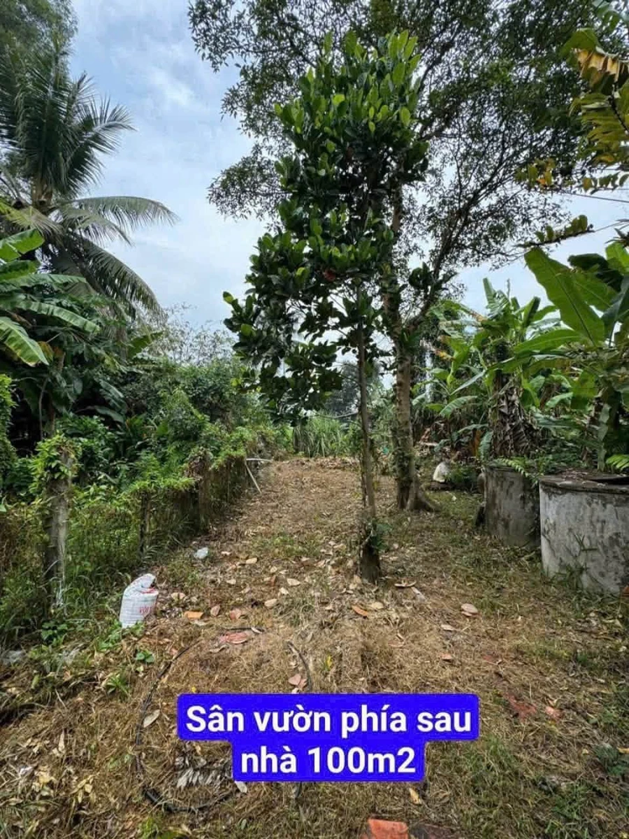 Bán nhà 2 phòng ngủ 243m2 đất thổ cư gần chợ Đức Tân, Tân Trụ, Long An - Ảnh thu nhỏ 4