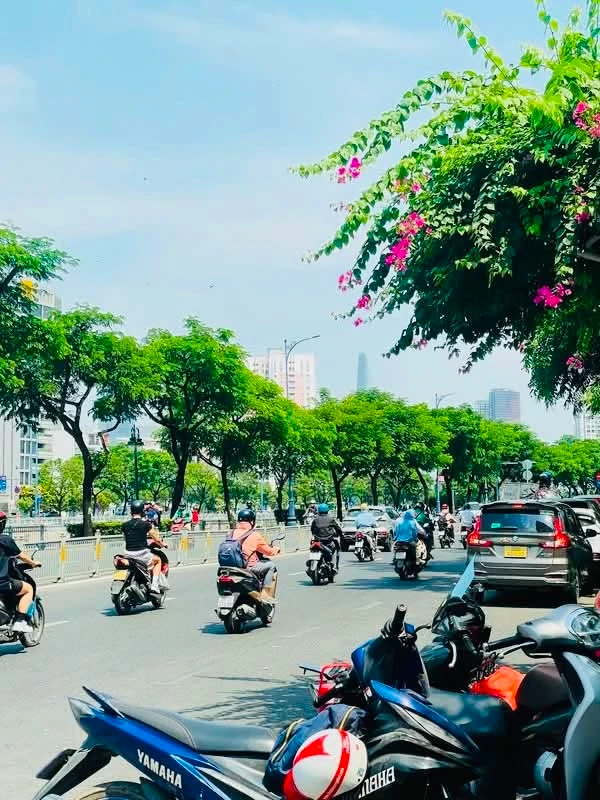 Bán nhà hẻm 3 tầng 25m² Bến Vân Đồn, Quận 4, giá 3,55 tỷ - Ảnh thu nhỏ 5