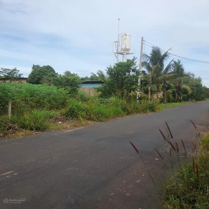 Bán đất 1.400m2 Bưng Riềng Xuyên Mộc | Gần Hồ Tràm sát rừng lý tưởng làm villa nghỉ dưỡng - Ảnh thu nhỏ 2