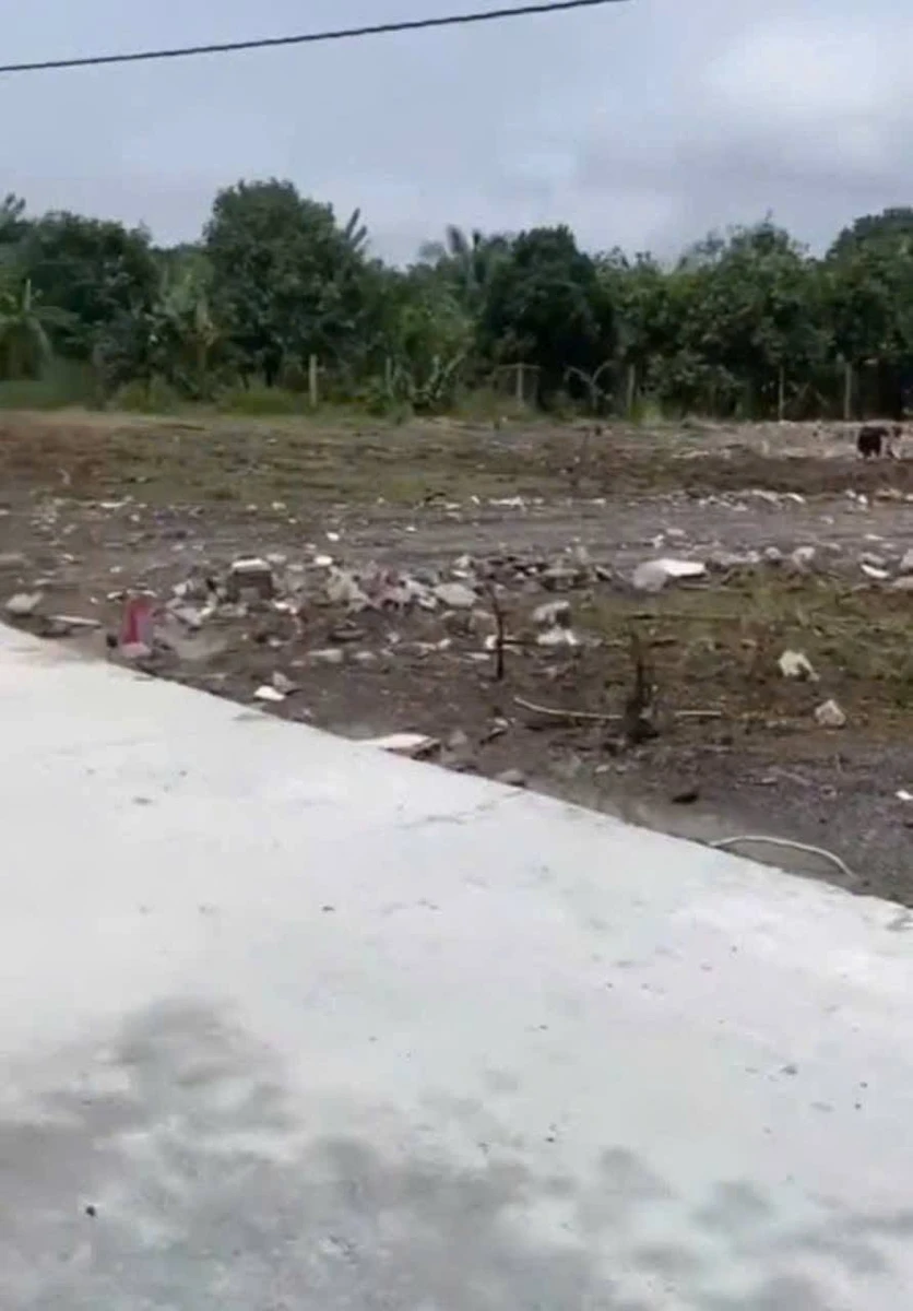 Bán lô góc 5,3x19m (100,7m²) 750 triệu Xã Tân An Đồng Nai - Ảnh thu nhỏ 3
