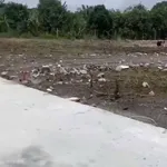 Bán lô góc 5,3x19m (100,7m²) 750 triệu Xã Tân An Đồng Nai - Ảnh thu nhỏ 3