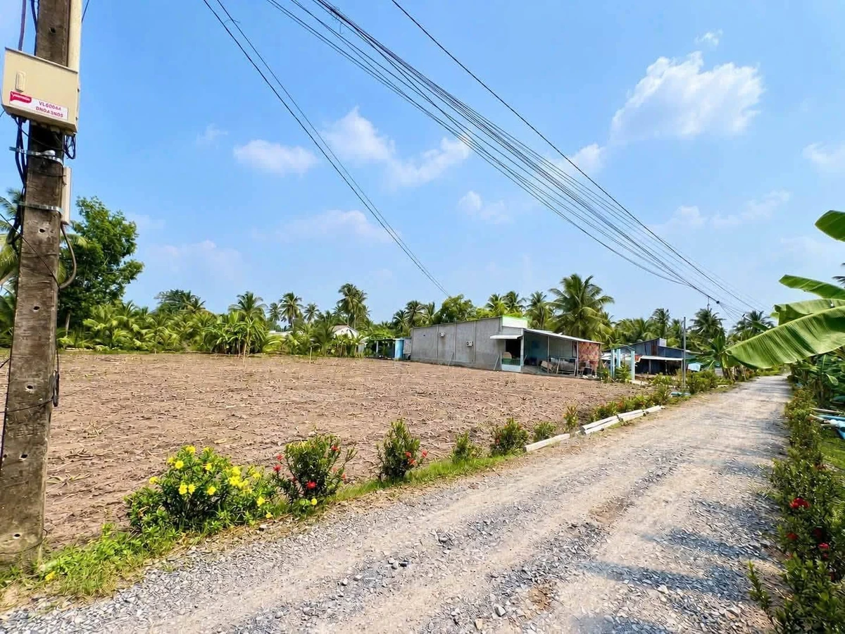 Bán nền đất 300m² xổ hồng sẵn Tỉnh 905 Cần Giờ - Ảnh thu nhỏ 2