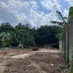 Bán đất thổ cư 10x38m sau trường tiểu học An Lợi, giá 2,55 tỷ - Ảnh thu nhỏ 2