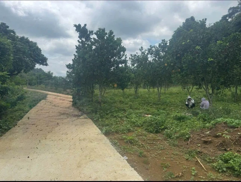 Bán đất 4200m² nghỉ dưỡng Yên Thuỷ 1 tỷ 790 triệu