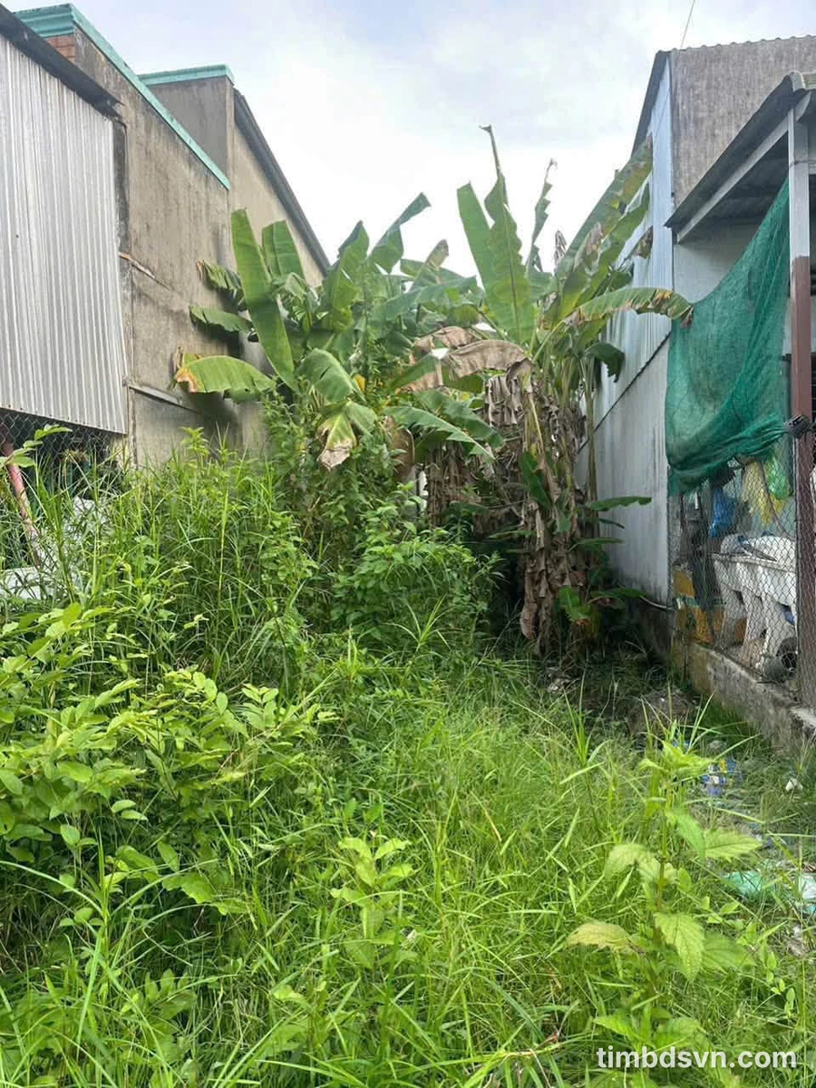 Bán nền thổ cư 64m² phường Vị Thanh, Cần Thơ 350 triệu - Ảnh thu nhỏ 3