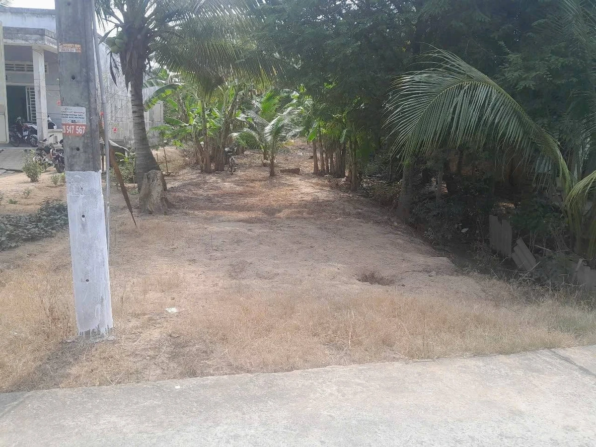 Bán đất vườn dừa 1160m² Phú Tân Củ Chi 1 tỷ 700 triệu - Ảnh thu nhỏ 5