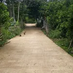 Bán đất vườn trồng bưởi 508m2, có 100m2 thổ cư tại Phú Vinh, Tân Lạc, Hòa Bình - Ảnh thu nhỏ 1