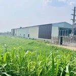 Bán lô đất mặt tiền 963m² Trung Đông 7, Hóc Môn - Ảnh thu nhỏ 1
