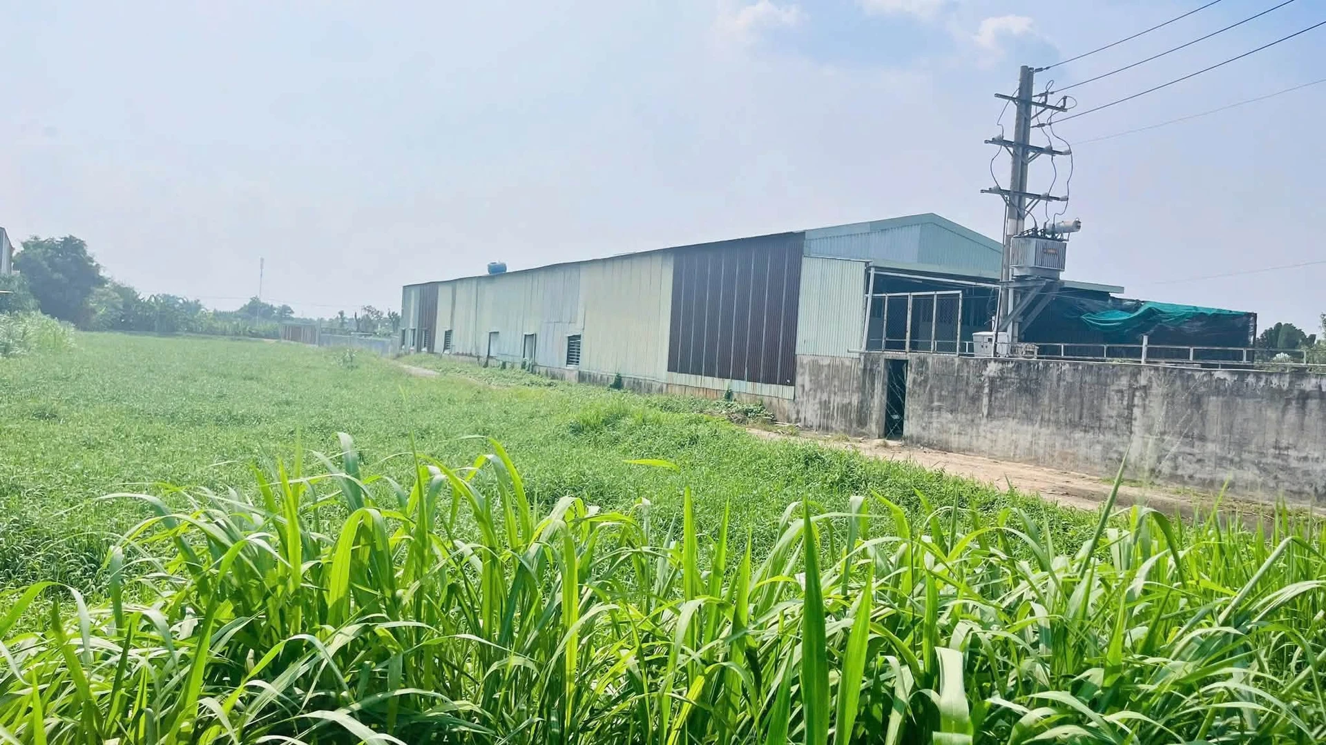 Bán lô đất mặt tiền 963m² Trung Đông 7, Hóc Môn - Ảnh 1