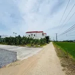 Bán đất Đầu Cầu Diên An Diên Khánh 62.2m² 1 tỷ 350tr - Ảnh thu nhỏ 1