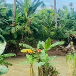 Bán lô đất view suối 700m2, thổ cư 300m2, hẻm Võ Văn Kiệt, Khánh Xuân, Buôn Ma Thuột - Ảnh thu nhỏ 3