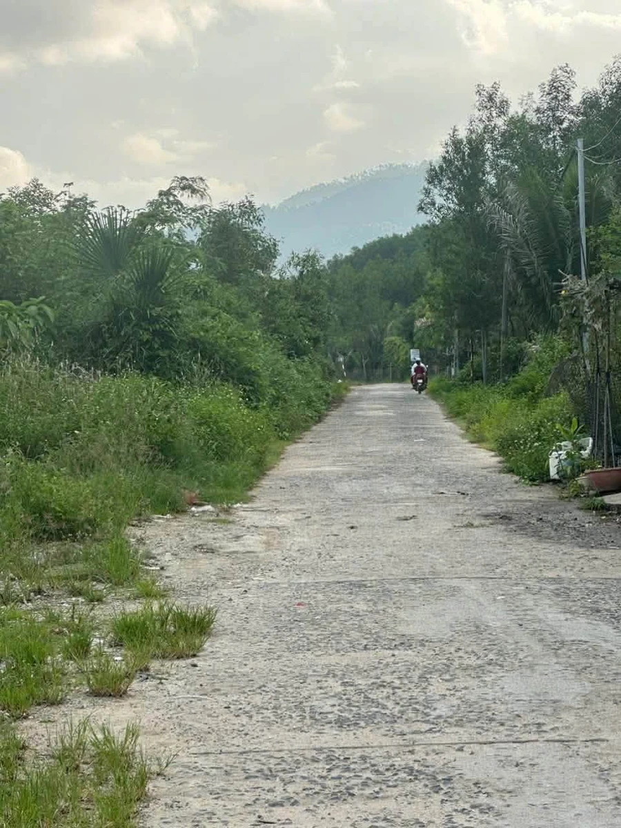 Bán lô đất thổ cư 736m2 tại Khánh Hiệp, Nhà Bè - Ảnh thu nhỏ 5