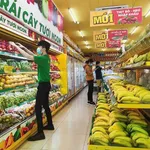Bán nhà mặt tiền 306m2 đường 768 KCN Thạnh Phú Tân Triều - Ảnh thu nhỏ 5