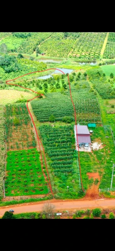 Bán lô đất 1.100m2 mặt đường nhựa tại Nâm N'Jang, Đắk Song, Đắk Nông