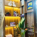 Bán nhà 3 tầng lô góc 56m2 ngõ phố Hoàng Diệu, Phường Cẩm Thượng, Hải Dương - Ảnh thu nhỏ 5