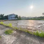 Bán 300m² đất thổ cư Hàm Đức, Bình Thuận 800 triệu - Ảnh thu nhỏ 2