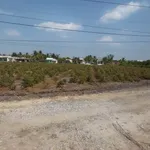 Bán đất 500m² Xã Thạnh Lợi Bến Lức tặng vườn mai - Ảnh thu nhỏ 4