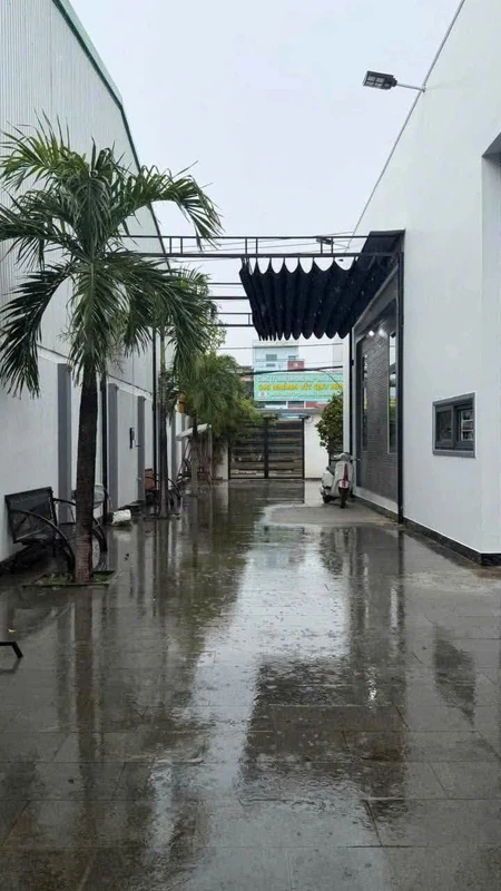 Cho thuê nhà nguyên căn 300m2 gần Ngã 3 Phú Tài Quy Nhơn