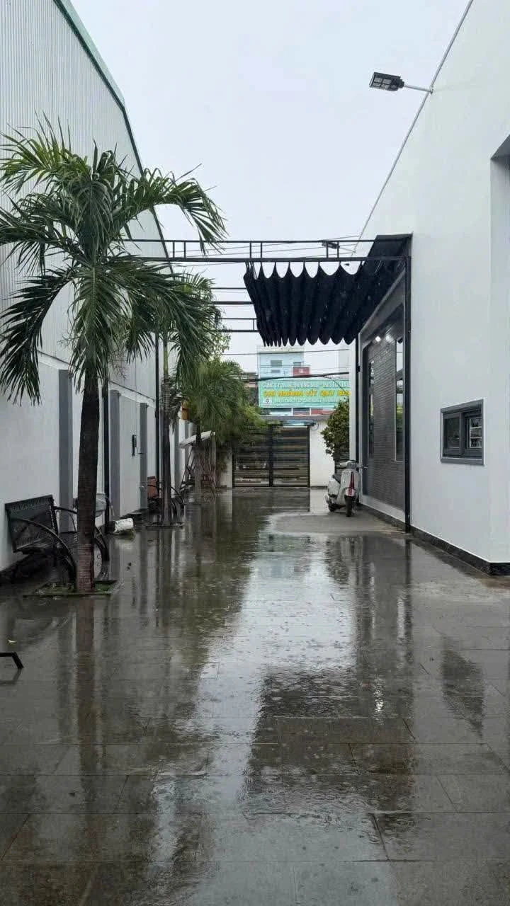 Cho thuê nhà nguyên căn 300m2 gần Ngã 3 Phú Tài Quy Nhơn - Ảnh 1