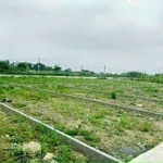Bán đất Tràng Duệ, Lê Lợi 69,7 m² An Dương, Hải Phòng 1,2 tỷ - Ảnh thu nhỏ 3