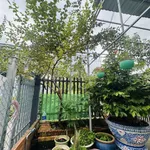 Bán biệt thự sân vườn 176m2 (11x16) hẻm xe hơi, Phạm Văn Hai, Bình Chánh, giá 5,4 tỷ - Ảnh thu nhỏ 3