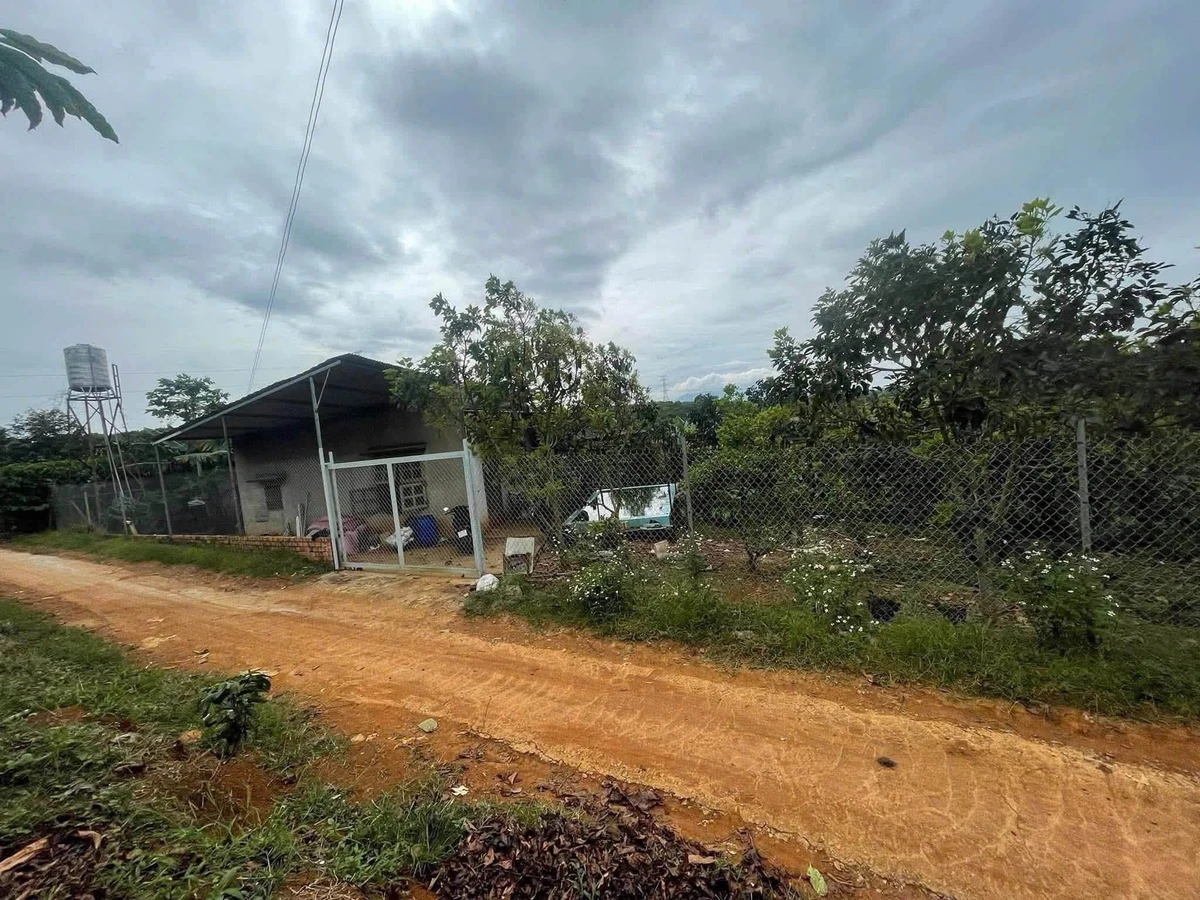 Bán đất Lộc An Bảo Lộc 2,4ha có nhà cấp 4 giáp suối - Ảnh thu nhỏ 3