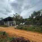 Bán đất Lộc An Bảo Lộc 2,4ha có nhà cấp 4 giáp suối - Ảnh thu nhỏ 3