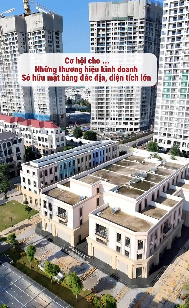 Shophouse kinh doanh 250-350m² Ocean City từ 6-8 tỷ - Ảnh thu nhỏ 3
