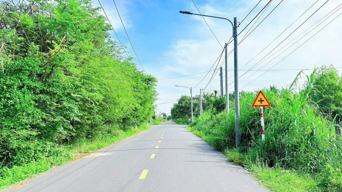 Bán đất 522m2 Phước Hải, Thị trấn Phước Hải 3 tỷ 300 - Ảnh thu nhỏ 3