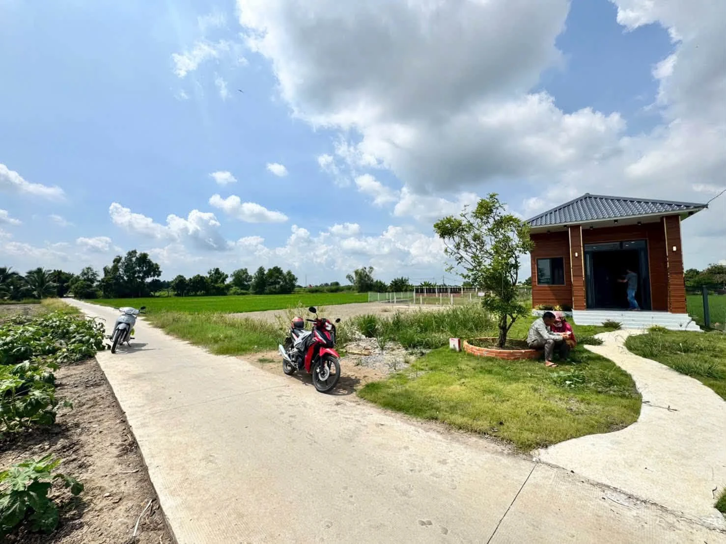Nhà vườn 300m² full thổ cư Phước Đông, giá 1 tỷ 590 triệu - Ảnh 1