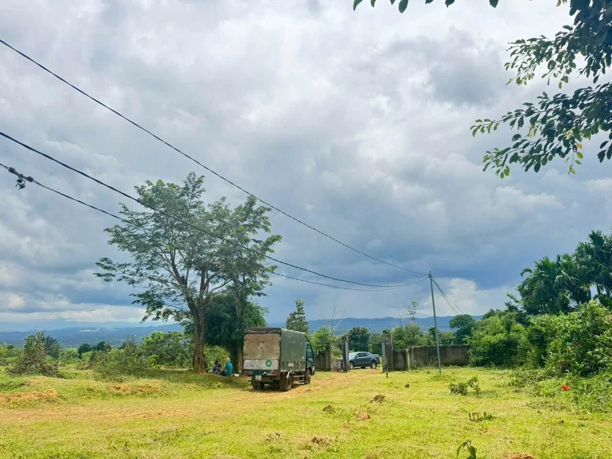 Bán 2 ha đất nông nghiệp đường 19/5, Bình Dương - Ảnh thu nhỏ 5