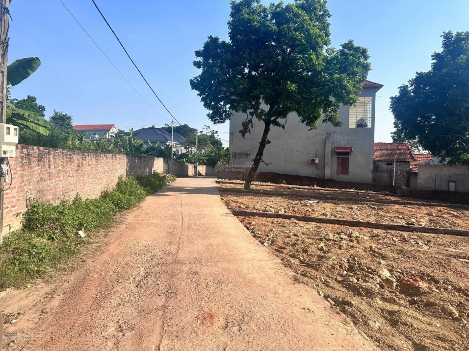Bán lô đất đẹp xã Trung Mỹ, Bình Xuyên, gần khu công nghiệp Bá Thiện 99m2 MT 6,6m nở hậu giá 950tr - Ảnh thu nhỏ 5