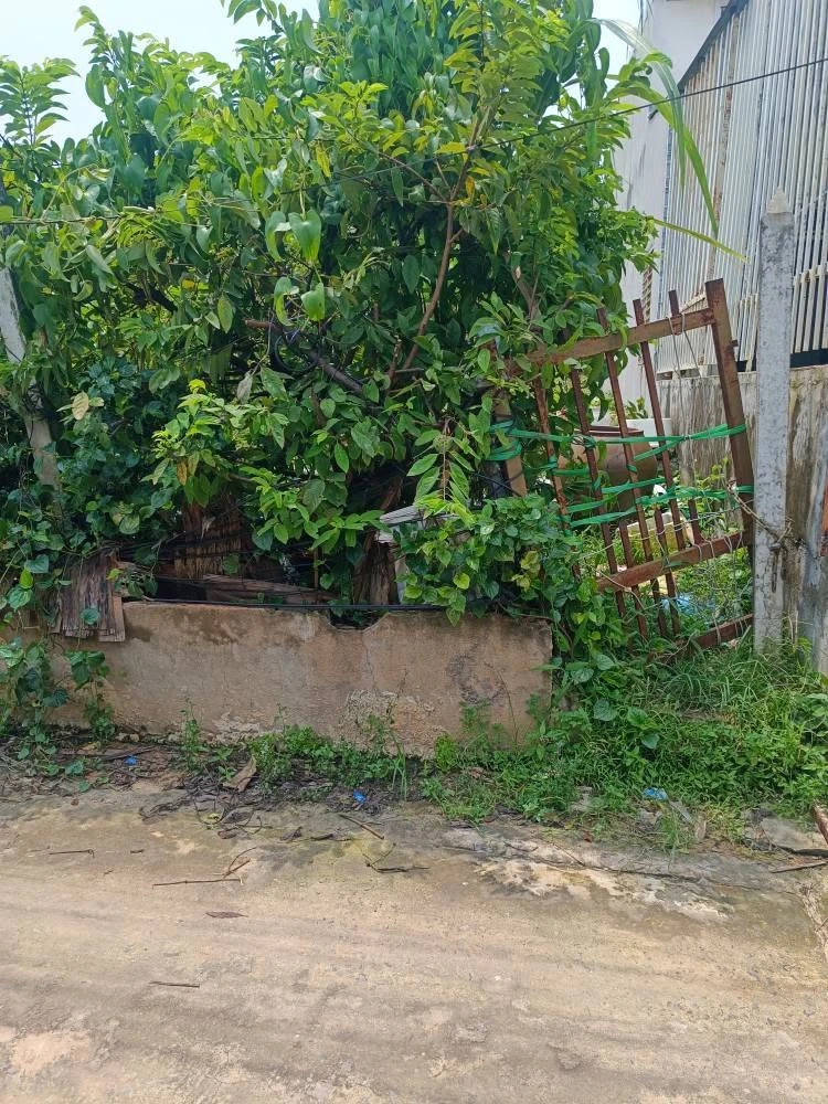 Bán lô đất 130m2 Tương Bình Hiệp, Thủ Dầu Một 1 tỷ 490 triệu - Ảnh thu nhỏ 5