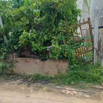 Bán lô đất 130m2 Tương Bình Hiệp, Thủ Dầu Một 1 tỷ 490 triệu - Ảnh thu nhỏ 5