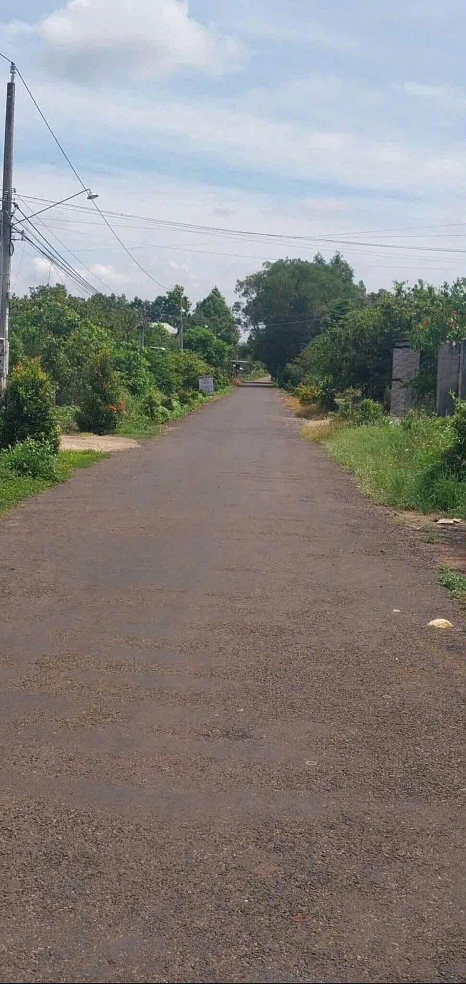 Bán đất nền 830m² Nam Chính, Bình Chánh 800 triệu - Ảnh 1