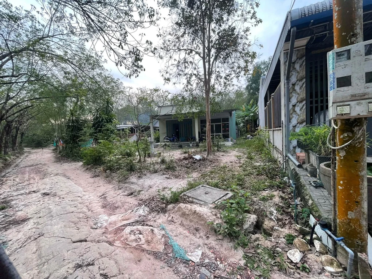 Bán đất Bình Mỹ 834m2 1 tỷ 8 - Ảnh thu nhỏ 2