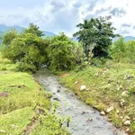 Bán 2 sổ đất cây trồng 2 hecta Xã Thuận Minh Cần Giờ - Ảnh thu nhỏ 3