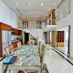 Cho thuê lofthouse Phú Hoàng Anh 230m² 5PN 20tr/tháng - Ảnh thu nhỏ 4