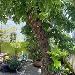 Bán nhà 3 tầng 10 phòng ngủ 218m² Phước Hòa Nha Trang - Ảnh thu nhỏ 4