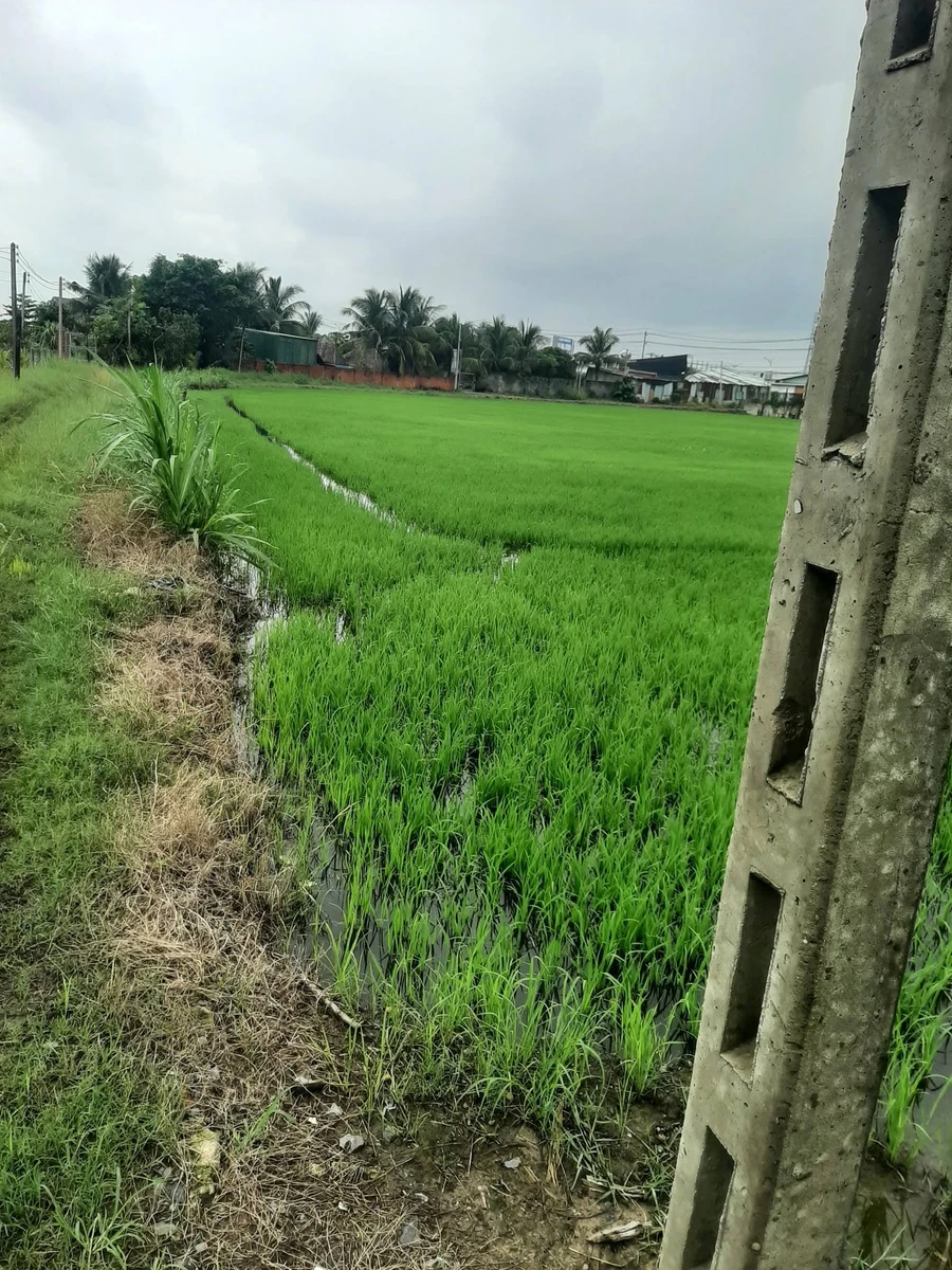 Bán lô đất 5095m² ở Tây Ninh giá 3.4 tỷ - Ảnh thu nhỏ 3
