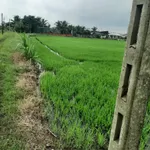 Bán lô đất 5095m² ở Tây Ninh giá 3.4 tỷ - Ảnh thu nhỏ 3