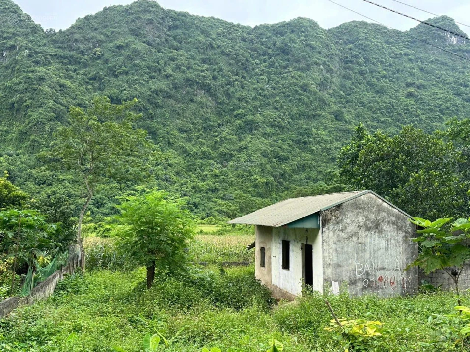 Chính chủ em cần tiền muốn bán nhanh 177m² toàn bộ thổ cư thuộc xã Phú Nghĩa, Lạc Thủy, Hòa Bình - Ảnh thu nhỏ 2