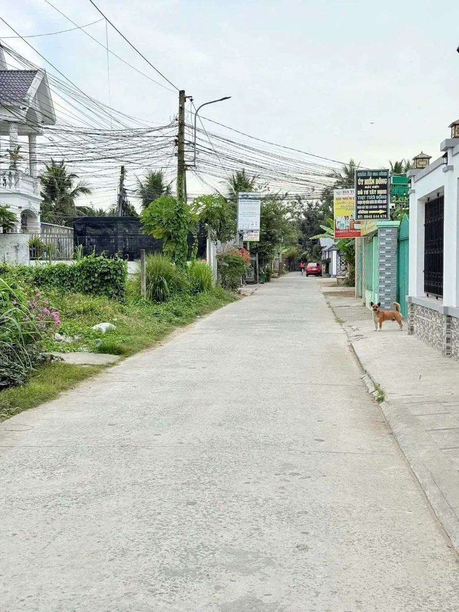 Bán nền đất Phú Nhuận 98.5m2 gần Cầu Vĩ 529 triệu - Ảnh thu nhỏ 3
