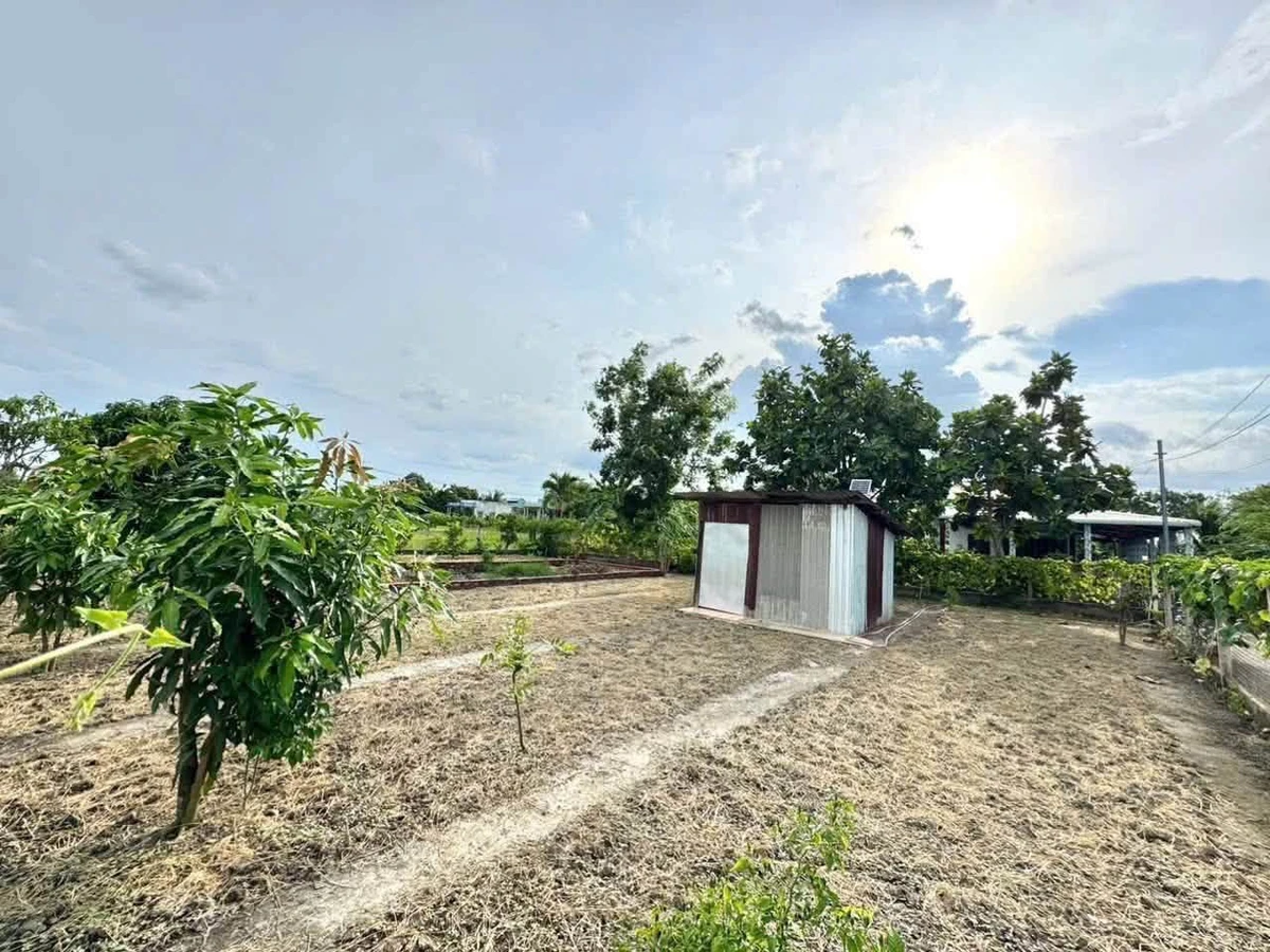 Bán đất vườn 489m² Mỹ Lộc, Tây Ninh 1.4 tỷ - Ảnh thu nhỏ 3