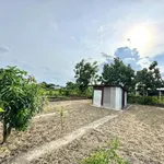 Bán đất vườn 489m² Mỹ Lộc, Tây Ninh 1.4 tỷ - Ảnh thu nhỏ 3